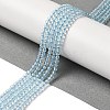 Natural Blue Topaz Beads Strands G-B090-A28-03-2
