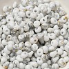 Baking Paint Glass Seed Beads SEED-F006-01A-09-3