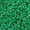 MIYUKI Round Rocailles Beads SEED-JP0010-RR0646-3