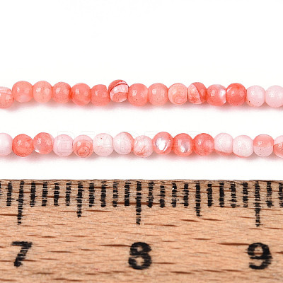 Dyed Natural Trochid Shell/Trochus Shell Beads Strands SSHEL-T017-13D-1