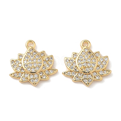 Brass Micro Pave Cubic Zirconia Charms KK-C099-09G-1