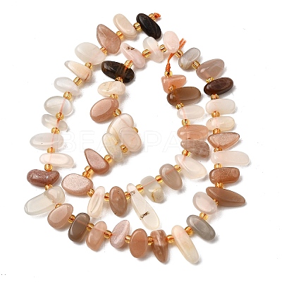 Natural Moonstone Beads Strands G-Z091-A14-1