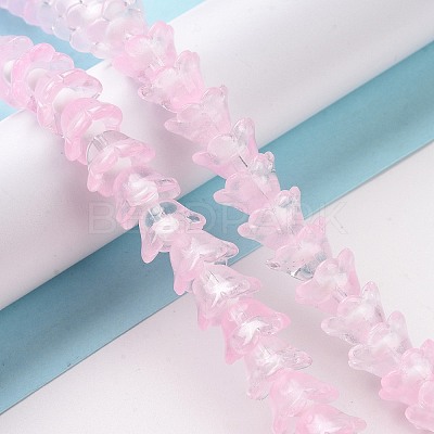 Transparent Glass Beads Strands LAMP-H061-01C-1