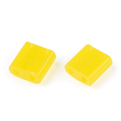 2-Hole Glass Seed Beads SEED-T003-01C-11-1