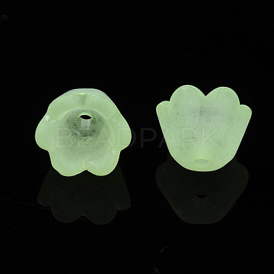 Transparent Acrylic Beads FACR-N005-001-1