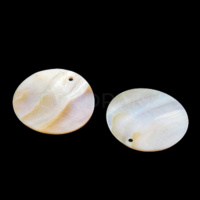 Natural Shell Pendants SH-CBACA76-05B-1