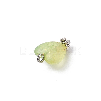 8Pcs Transparent Acrylic Pendants PALLOY-JF04341-01-1