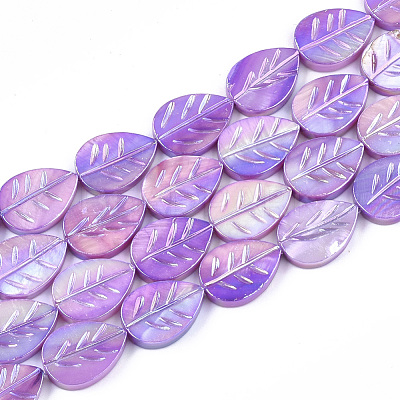 Freshwater Shell Beads Strands X-SHEL-S274-61D-1
