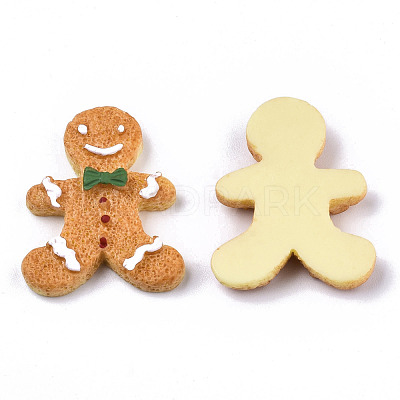 Resin Decoden Cabochons CRES-N022-108-1