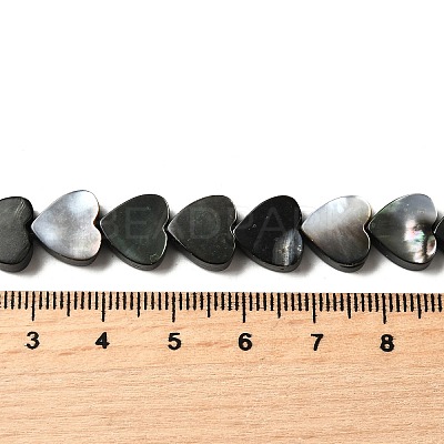 Natural Black Lip Shell Beads Strands BSHE-D300-06B-1