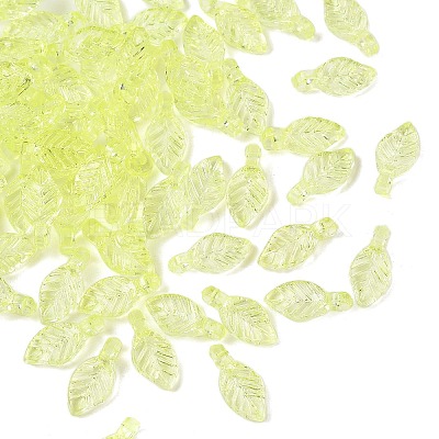 Transparent Acrylic Charms TACR-F009-11A-1
