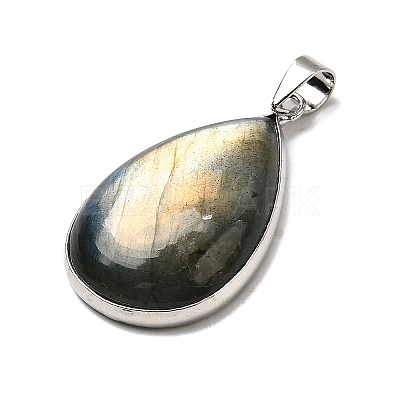 Natural Labradorite Pendants G-B149-11P-1
