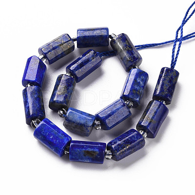 Natural Lapis Lazuli Beads Strands X-G-S345-8x11-002-1