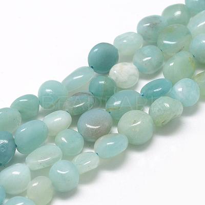 Natural Amazonite Beads Strands G-R445-8x10-21-1