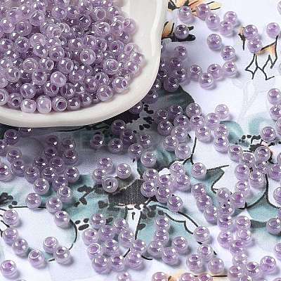 Glass Seed Beads SEED-H002-E-A1421-1