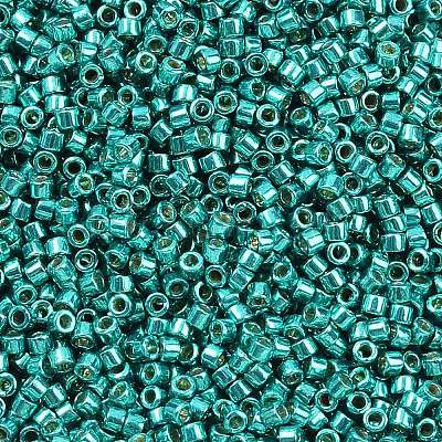 MIYUKI Delica Beads X-SEED-J020-DB2506-1
