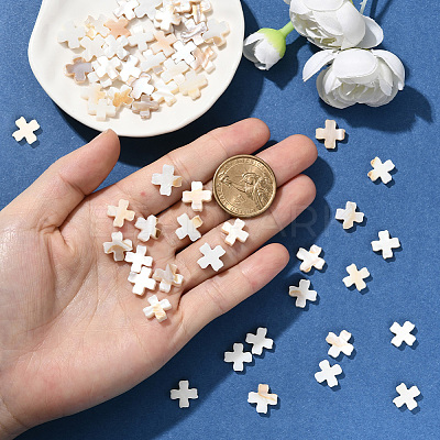 60Pcs Natural Freshwater Shell Beads SSHEL-SC0001-41-1