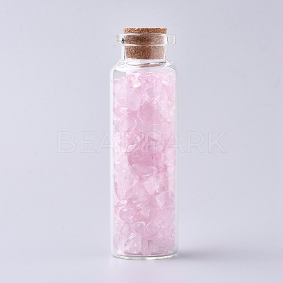 Glass Wishing Bottle DJEW-L013-A13-1