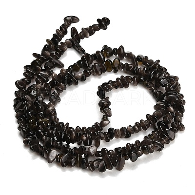 Natural Silver Sheen Obsidian Beads Strands GG-CBAE051-A03-02-1