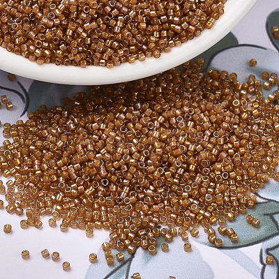 MIYUKI Delica Beads X-SEED-J020-DB1734-1