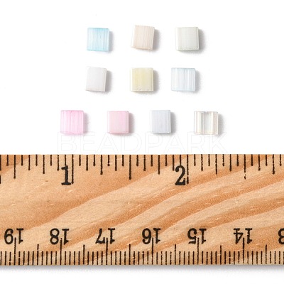 100Pcs 10 Styles 2-Hole Glass Seed Beads SEED-FS0001-45-1