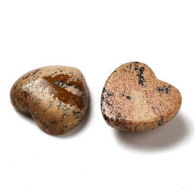 Natural Picture Jasper Cabochons G-F776-02A-17-1