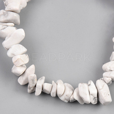 Unisex Chip Natural Howlite Beaded Stretch Bracelets BJEW-S143-27-1