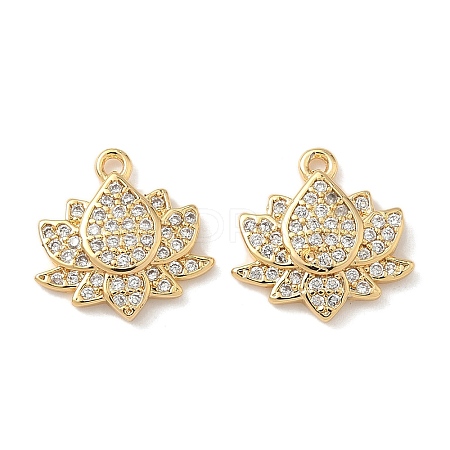 Brass Micro Pave Cubic Zirconia Charms KK-C099-09G-1
