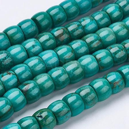 Natural Magnesite Beads Strands TURQ-K003-04-1