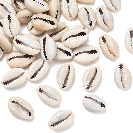 Natural Cowrie Shell Beads BSHE-O007-73-1