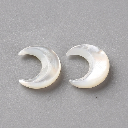 Natural White Shell Beads SSHEL-Q311-004A-01-1