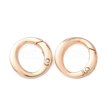 Alloy Spring Ring Clasps AL-B004-01KCG-A-1