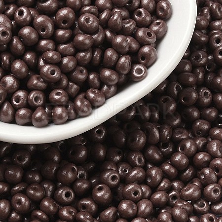 6/0 Glass Seed Beads SEED-L011-08A-08-1