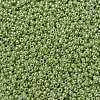 MIYUKI Round Rocailles Beads SEED-G007-RR0439-3