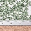 MIYUKI Delica Beads X-SEED-J020-DB2310-4