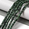 Natural Imperial Jasper Beads Strands G-Q171-A01-01C-2