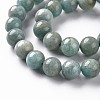 Natural Amazonite Beads Strands G-S333-10mm-005-3