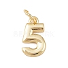 Brass Charms KK-G544-10G-05-1