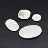 Natural White Shell Beads X-SSHEL-I019-01-1