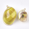 Spray Painted & Electroplate Spiral Shell Pendants SSHEL-T010-03F-2