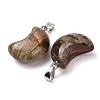 Natural Crazy Agate Pendants G-F820-02L-10-3