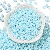 3/0 Glass Seed Beads SEED-L011-03A-05-2