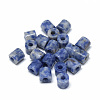 Natural Blue Spot Jasper Beads G-T073-21F-1
