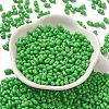 Baking Paint Glass Seed Beads SEED-K009-01A-15-2