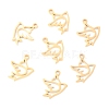 304 Stainless Steel Charms STAS-O142-19G-1