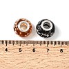 Glow In The Dark Handmade Luminous Style Lampwork Large Hole European Beads LPDL-R007-02-3