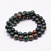 Natural Indian Bloodstone Beads Strands G-P257-07-8mm-2