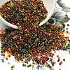 12/0 Grade A Round Glass Seed Beads SEED-Q007-FM-1
