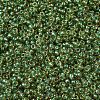 MIYUKI Round Rocailles Beads SEED-G007-RR0375-3