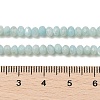 Natural Freshwater Shell Dyed Beads Strands SHEL-R100-13A-02-4